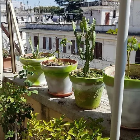 Apartamento Robta's Dream